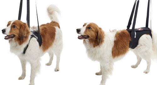 KRUUSE Rehab Lifting Harness